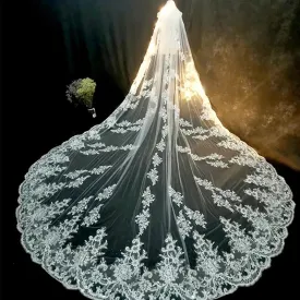 Long Lace Edge Cathedral Bridal Wedding Veil With Comb