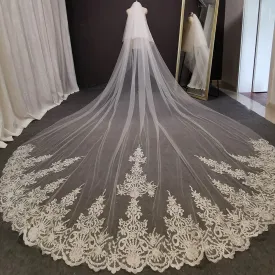 Long Lace Wedding Bridal Veil with Comb Blusher Bride Accessory