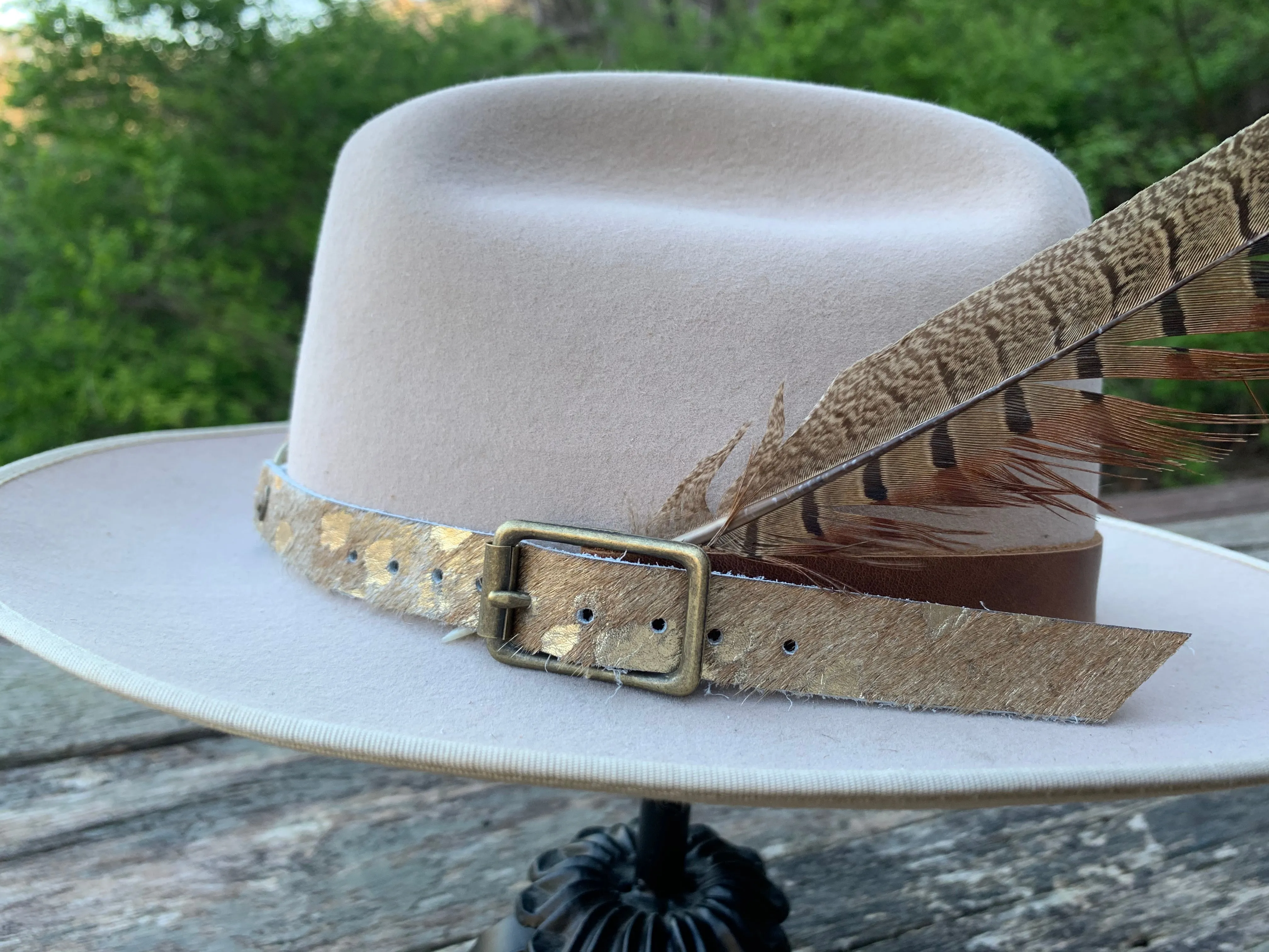 Pheasant Feather