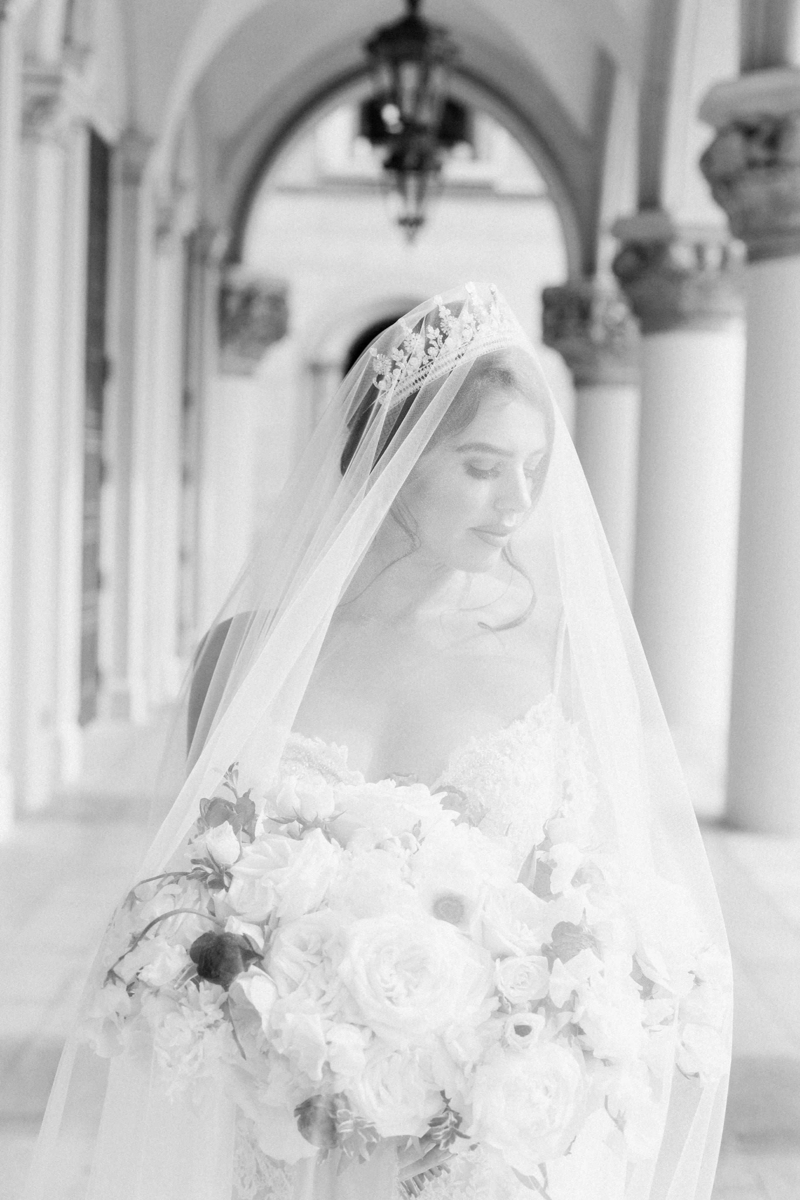PIPPA Lace Cathedral Drop Veil