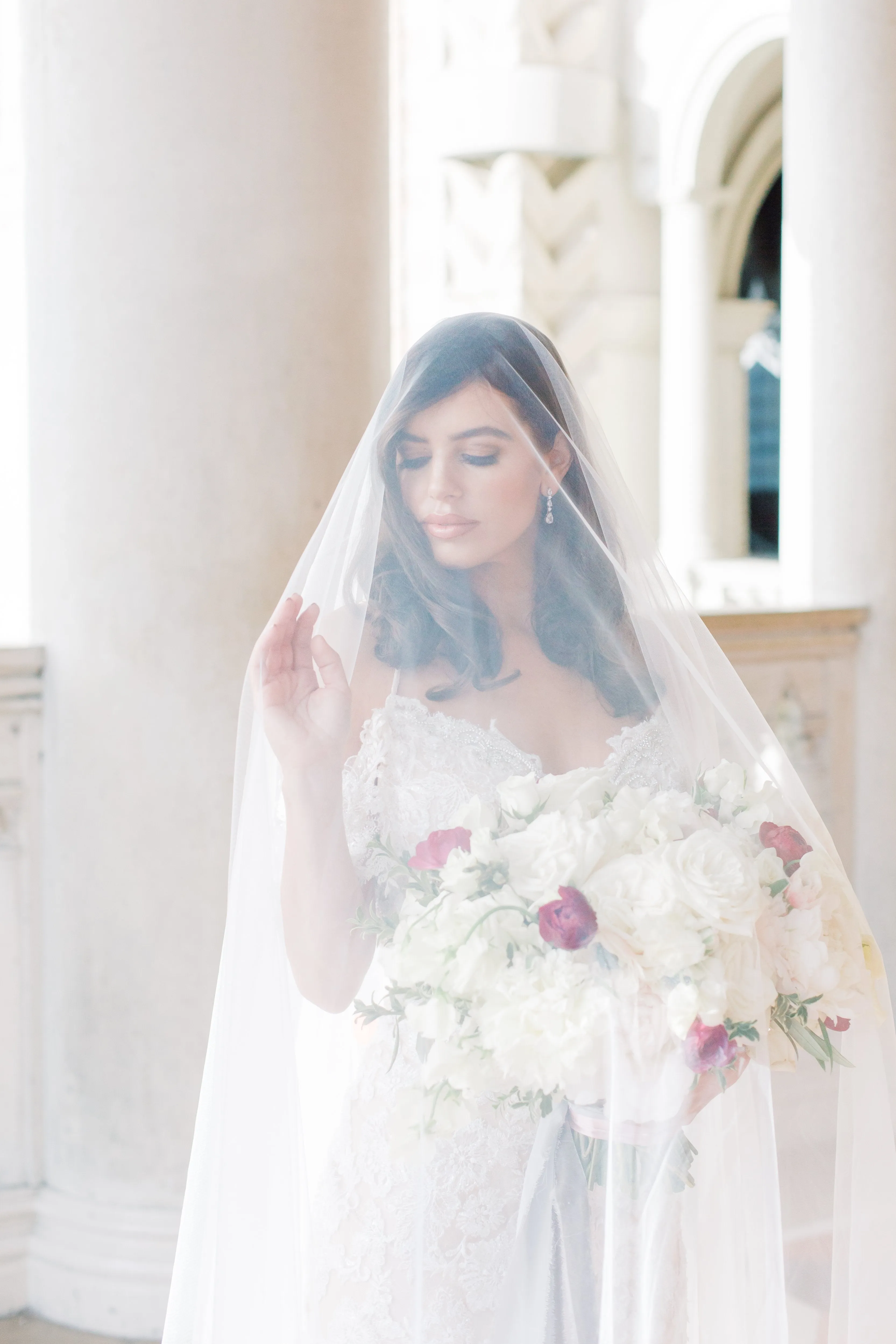 PIPPA Lace Cathedral Drop Veil