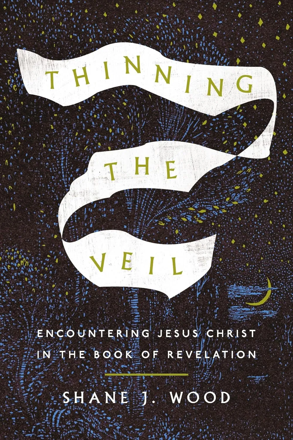 Thinning the Veil: Encountering Jesus Christ in the Book of Revelation Paperback  May 20, 2025